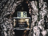 Acqua di Alba White Truffle