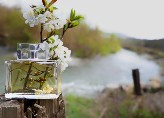 Acqua di Alba , profumi delle Langhe